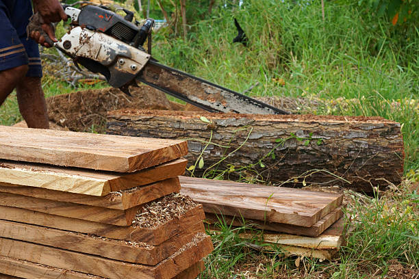 Silverstone Operations